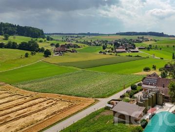 Grasswil, Seeberg, Verwaltungskreis Oberaargau, Verwaltungsregion Emmental-Oberaargau, Kanton Bern