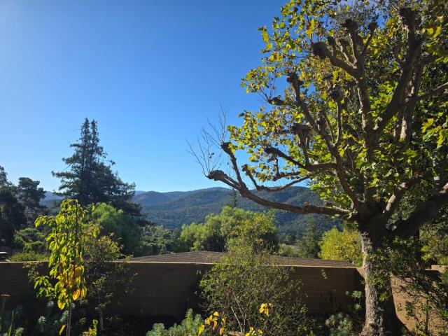 9 Story Rd, Carmel Valley, CA 93924 | MLS #ML82037