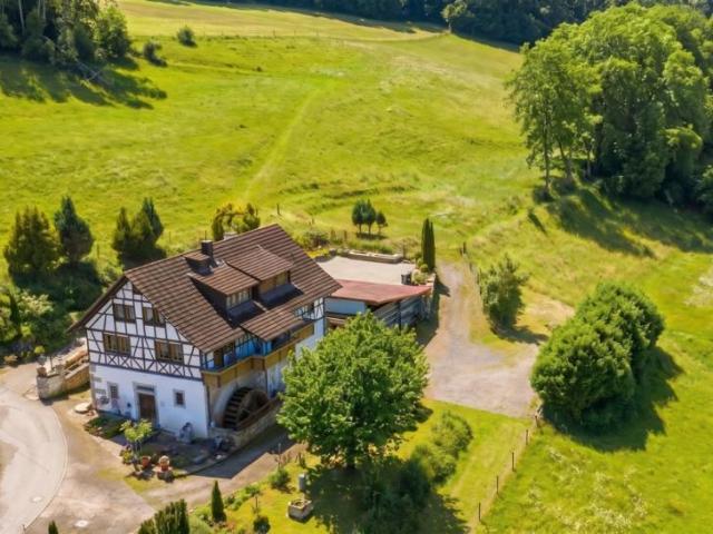 9 Schlafzimmer Villa Stühlingen Stühlingen 105451881