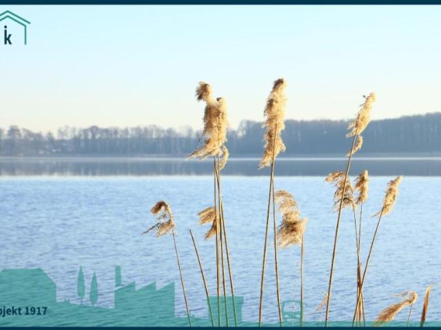 9 Schlafzimmer Haus Am Mellensee Deutschland 101225147