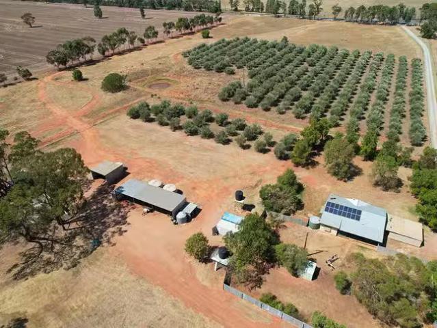 9 The Mcgrane Way, Tullamore, NSW 2874