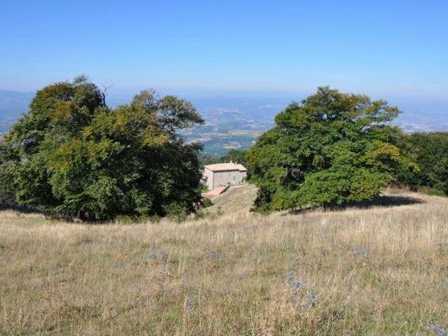 9 vani 240mq