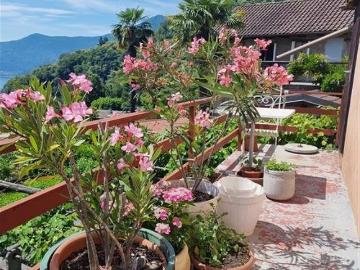 Brissago, Circolo dell'Isole, Bezirk Locarno, Tessin