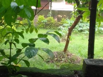 9.5 BHK Independent House in Kasba for resale Kolkata. The reference number is 12601638