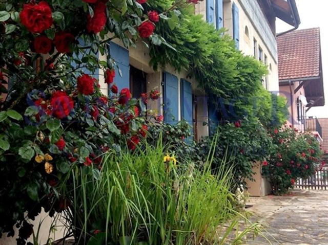 Fontaines sur Grandson, Wunderschönes Dorfhaus – Terminverkauf