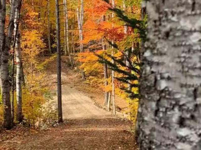 9E Rang, Saint Côme, QC, J0K 2B0 vacant land for sale Listi.