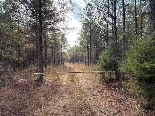 0000 OLD HWY 18, VERNON, AL 35592