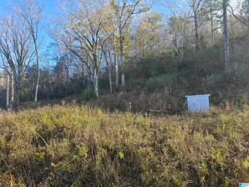0000 COUNTY ROAD 110 # 1, VERBENA, AL 36091