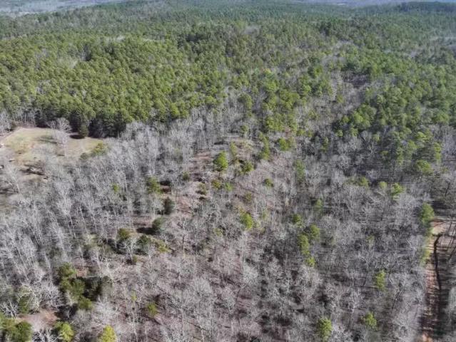 000 CAVANAUGH ROAD, ROYAL, AR 71968