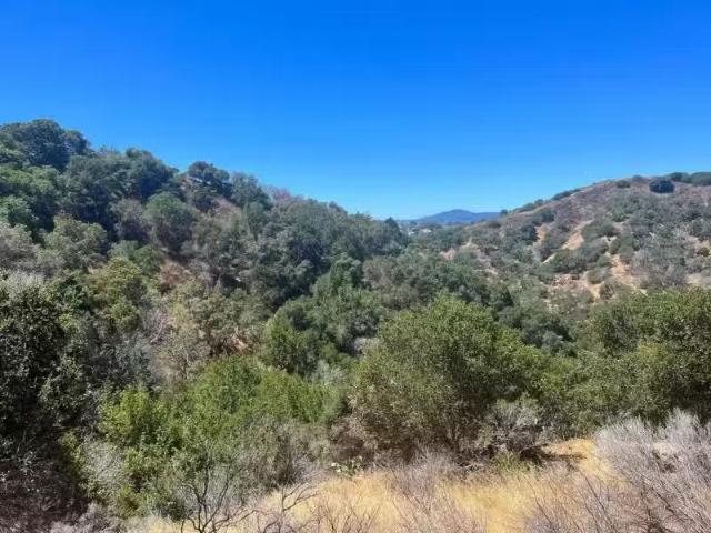 000 ALHAMBRA DRIVE, BELMONT, CA 94002
