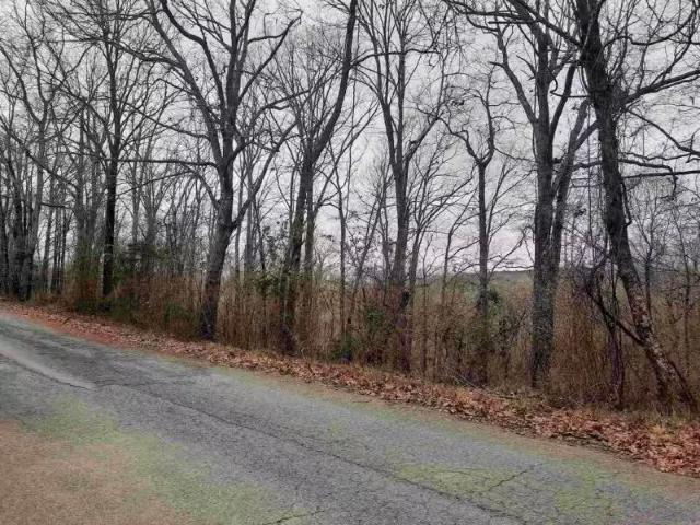 000 DODD MOUNTAIN ROAD, SHIRLEY, AR 72153