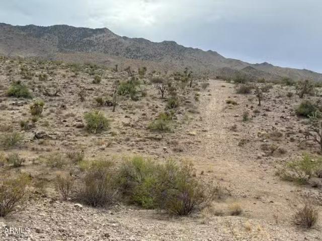 000 N Mohave Dr #48, Dolan Springs, AZ 86441 MLS 6913705