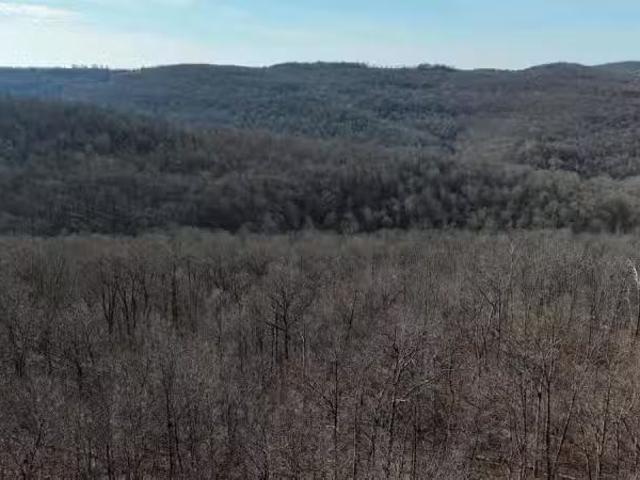 000 POSSUM TROT RD, COMPTON, AR 72624