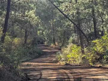 000 ROCKY TOP ROAD, BELLA VISTA, CA 96008