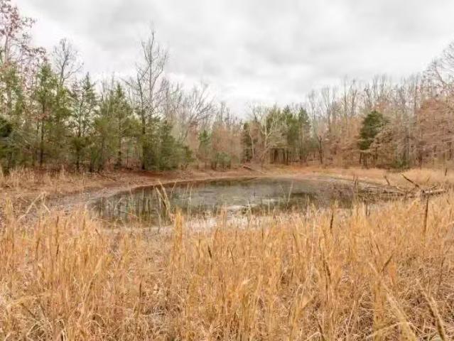 000 VALLEY CHAPEL ROAD, RAVENDEN SPRINGS, AR 72460