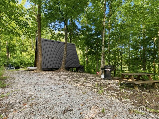 002 Forest Road 4005