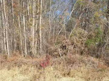00 COUNTY ROAD 47, TUSKEGEE, AL 36083