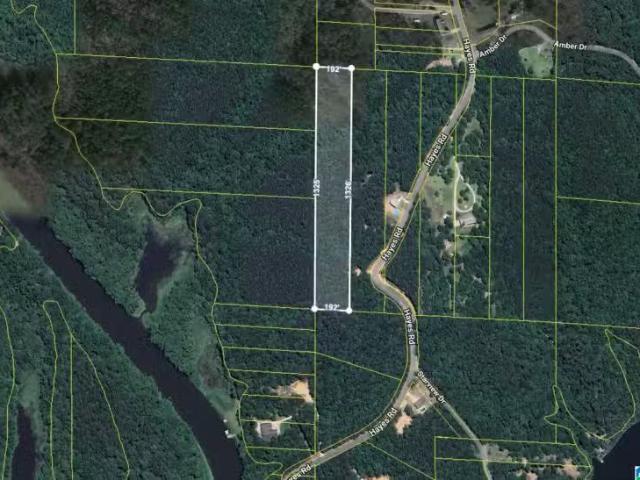 00 HAYES ROAD # 0, NORTHPORT, AL 35475