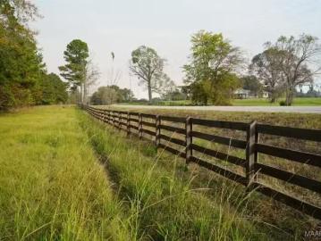 00 HAYNEVILLE RIDGE ROAD, MATHEWS, AL 36052