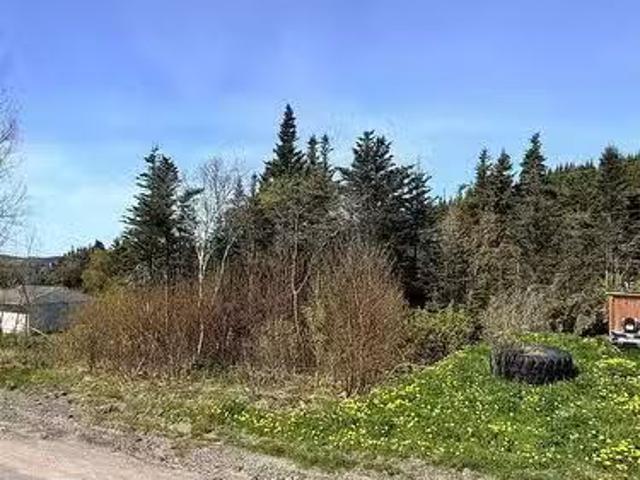 00 Main Road, Clifton, NL, A0C 1G0 vacant land for sale Lis.