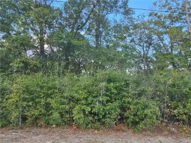 00 MOFFETT ROAD, WILMER, AL 36587