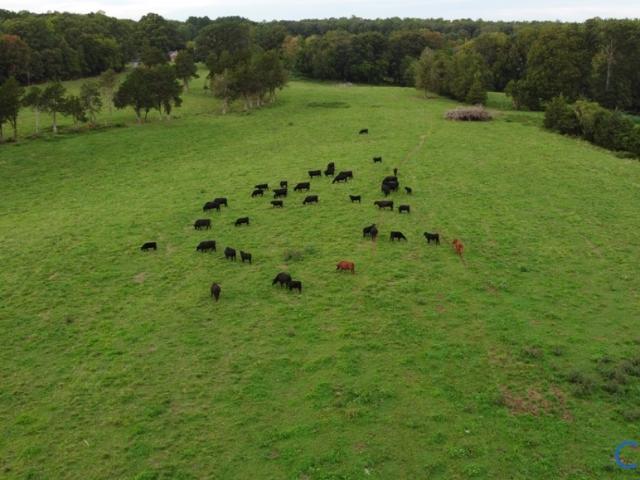 00 Perkinsville Lot 6 Road