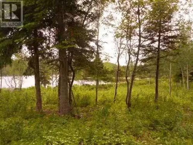 00 Salt Pond Road, Springdale, NL, A0J 1T0 vacant land for s.