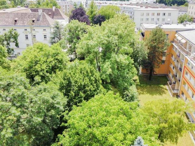 [06784] Frisch renovierte, helle Wohnung in Bestlage am Hauptplatz von Bad Vöslau