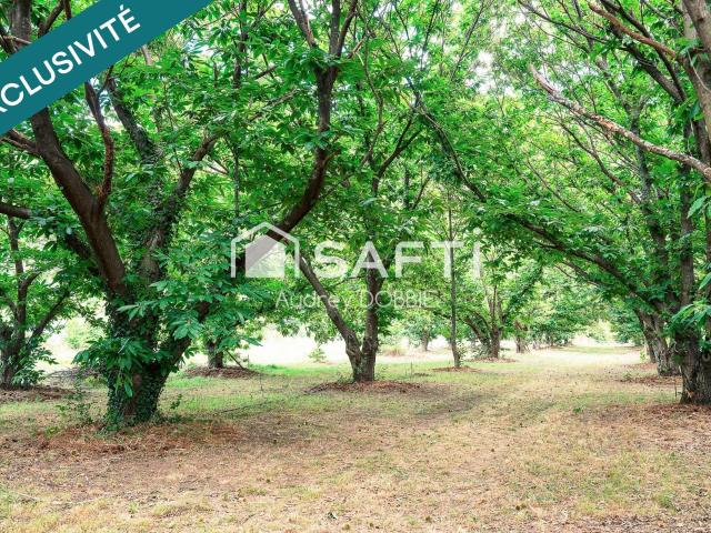 07140 Chambonas: Ensemble immobilier de 4 logements avce Pi. 232m² Les Vans