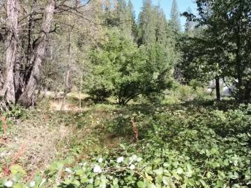 0 MAIN STREET, DUTCH FLAT, CA 95714