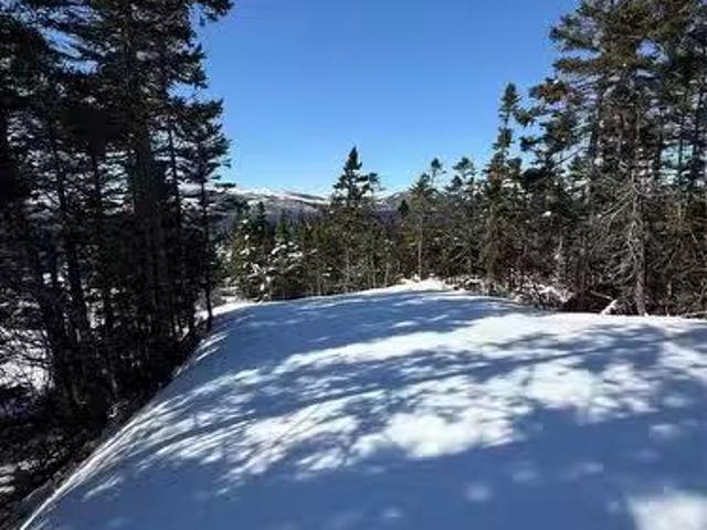 0 Main Road, Garden Cove, NL, A0E 1S0 vacant land for sale.