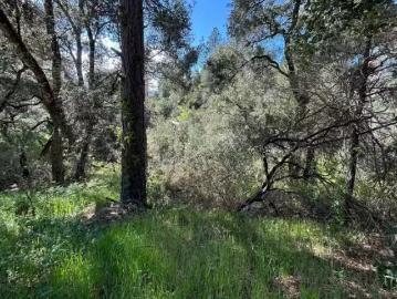 0 MARION AVENUE, BEN LOMOND, CA 95005