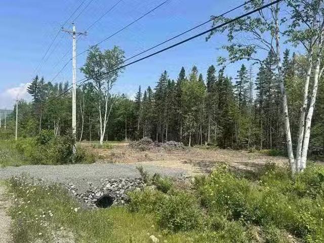 0 Meadows Road, Sydney Forks, NS, B1L 1A1 vacant land for sa.