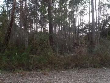 0 MICHIGAN AVENUE, CODEN, AL 36523