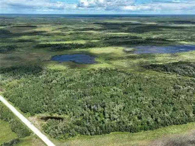 0 Moggey'S Road, Eriksdale, MB, R0C 2G0 vacant land for sale.