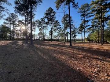 0 MORGAN MILL ROAD, BRANTLEY, AL 36009