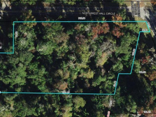 0 NW Hall Cir, Bristol, FL 32321 | MLS #779490