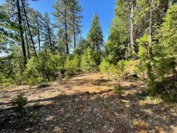 0 N FORBESTOWN ROAD, CHALLENGE, CA 95925
