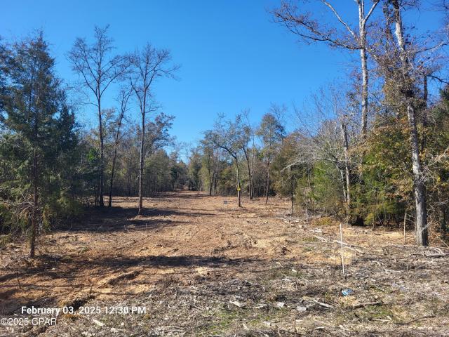 0 NE Morgan Tucker Rd, Unit LOT 1, Altha, FL 32421 | MLS #750784