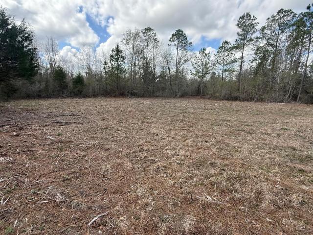 0 Neel Rd, Grand Ridge, FL 32442 | MLS #786574