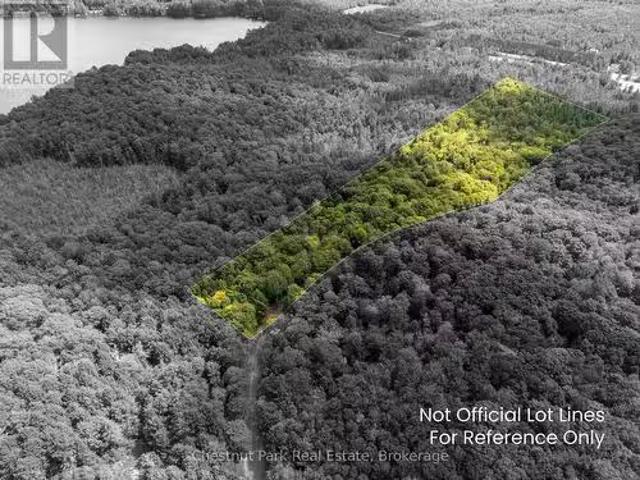 0 Nithgrove Road, Lake Of Bays Mclean, ON, P0B 1A0 vacant.