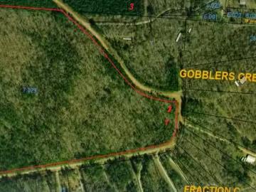 0 ARROWHEAD DRIVE, DELTA, AL 36258