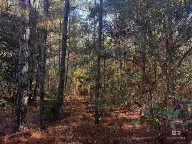 0 BAPTISTE DRIVE, THEODORE, AL 36582