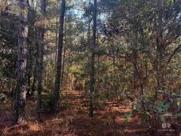 0 BAPTISTE DRIVE, THEODORE, AL 36582