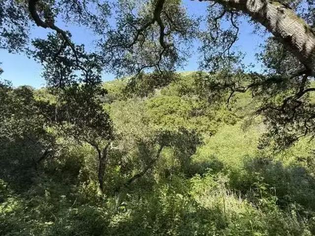0 BARTLETT WAY, BELMONT, CA 94002