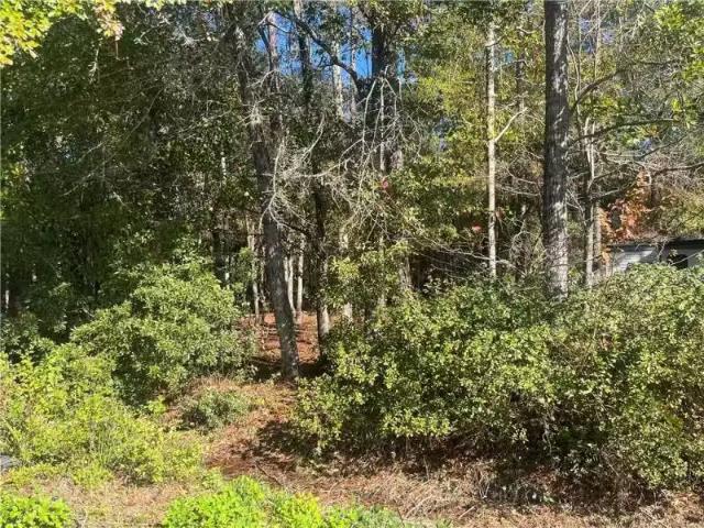 0 BAYOU CYPRESS DRIVE, CODEN, AL 36523