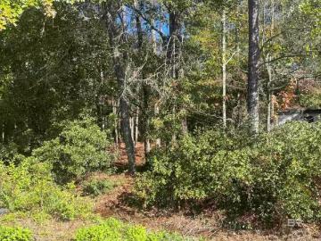0 BAYOU CYPRESS DRIVE, CODEN, AL 36523