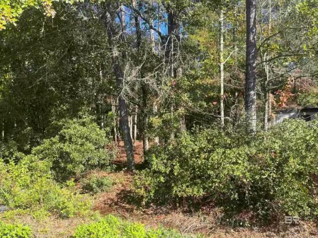 0 BAYOU CYPRESS DRIVE, CODEN, AL 36523