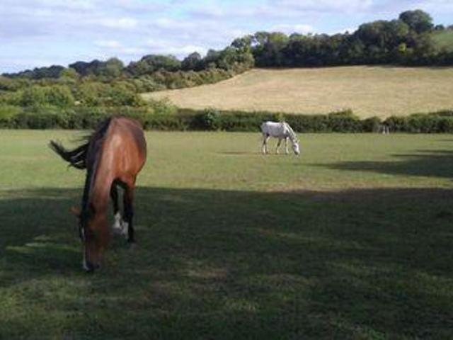 0 Bedrooms Farm for sale in Cross Lane Farm, Bennett End, Radnage. HP14
