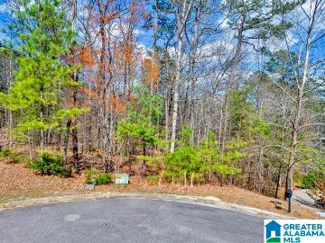 Oneonta city, Oneonta CCD Blount County Alabama, Blount County, Alabama, Alabama, USA